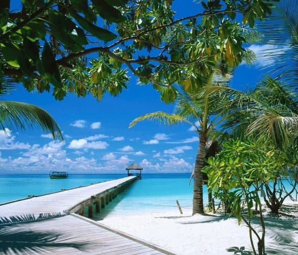 Maldivy