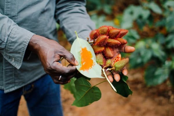🌿 Koreninová farma