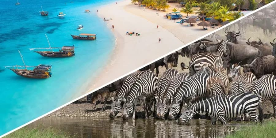 TANZIBAR – zo savany do raja