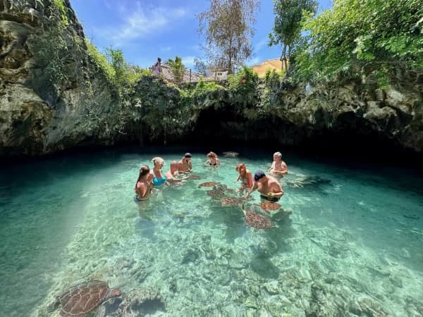 🐢 Plávanie s korytnačkami